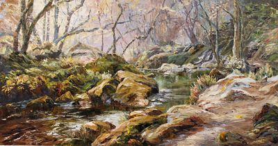 Golitha Falls by Nancy Bailey