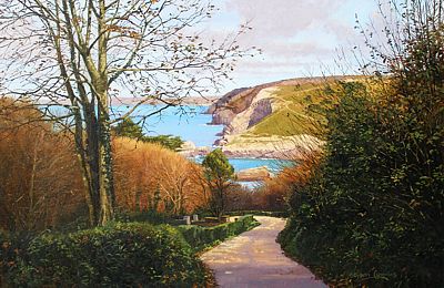 Rocky Lane, St. Agnes by Stephen Cummins